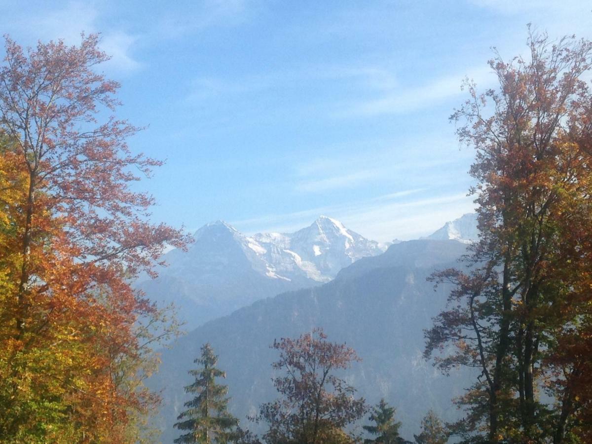 App. Seeblick Top Of Interlaken Beatenberg Exterior photo