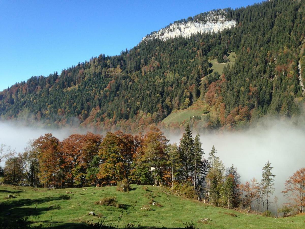 App. Seeblick Top Of Interlaken Beatenberg Exterior photo
