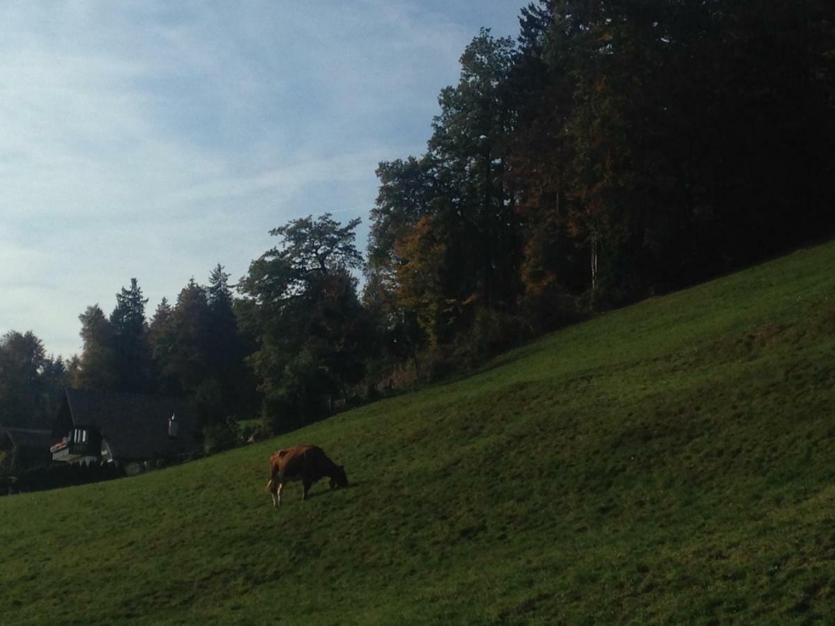 App. Seeblick Top Of Interlaken Beatenberg Exterior photo